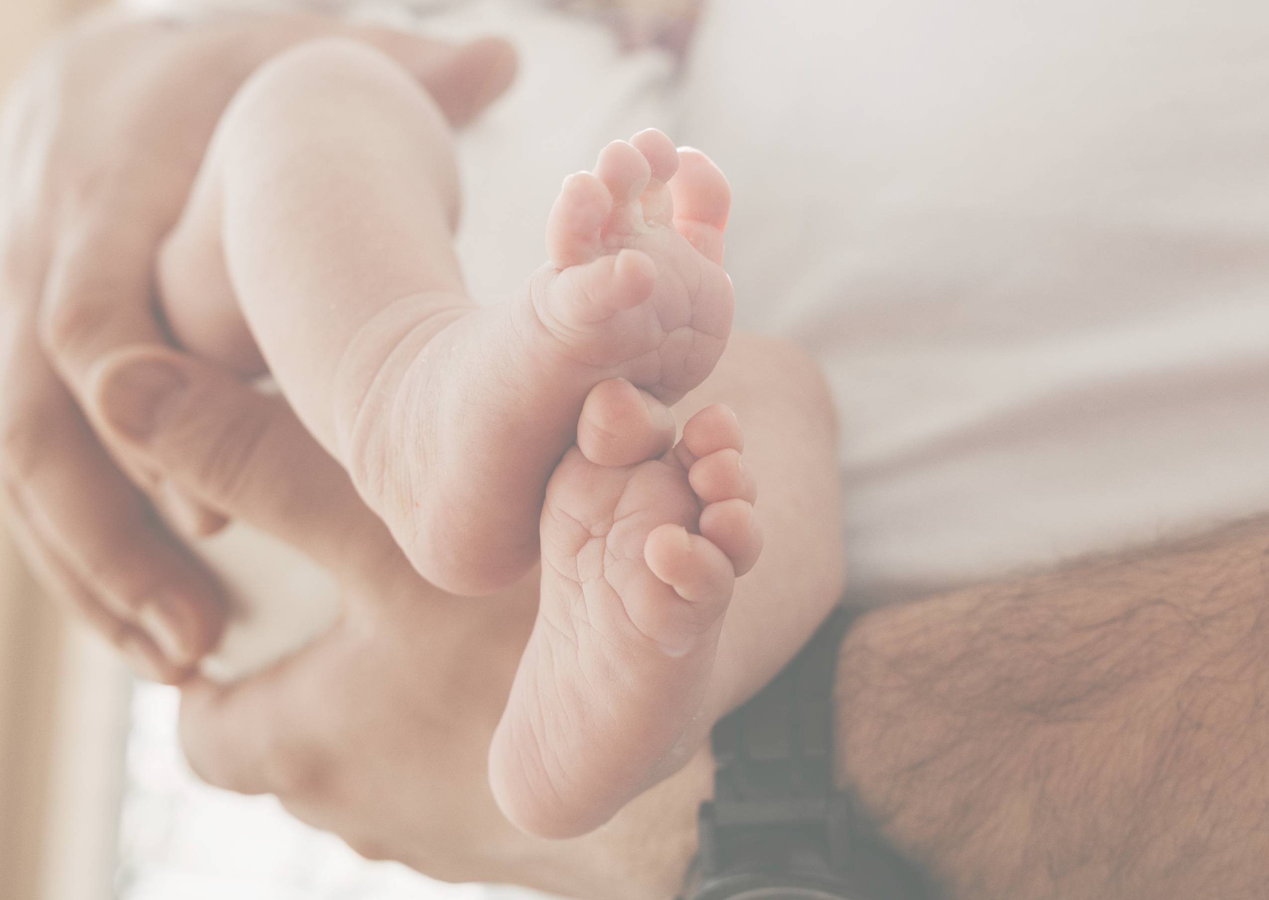 Winzige Babyf&uuml;&szlig;e liegen in den H&auml;nden der Eltern